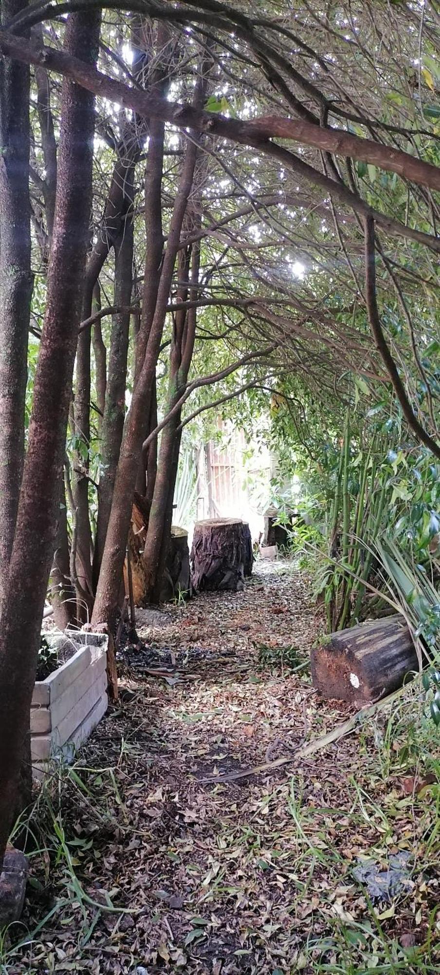 Cabana En La Calera Bersanina Екстер'єр фото